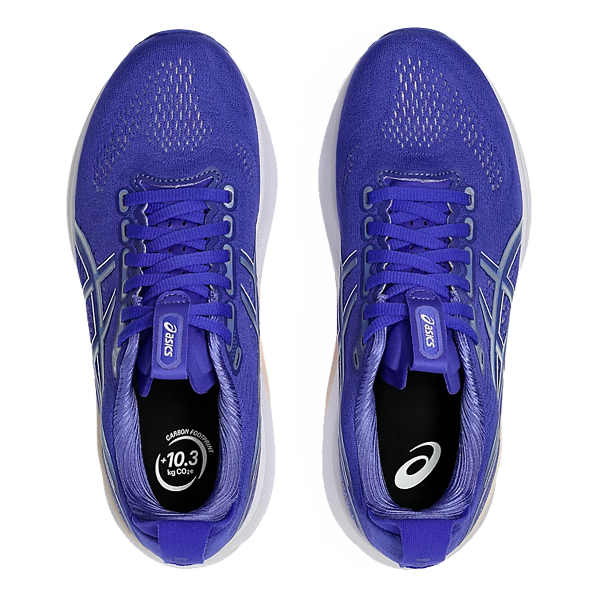 Asics Gel Kayano 32