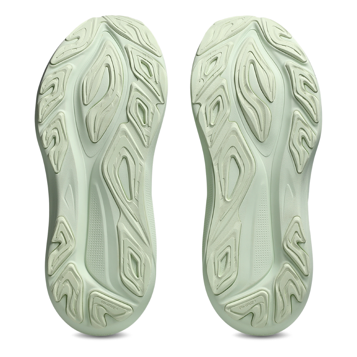 Asics GT 2000 14