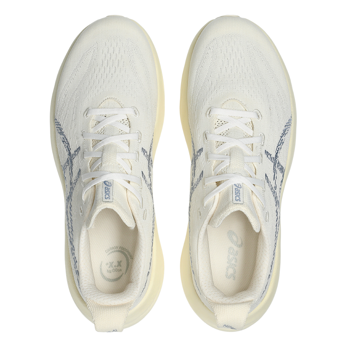 Asics Nimbus Mirai 2